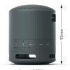 Sony SRS-XB100 - Wireless Bluetooth