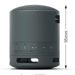 Sony SRS-XB100 - Wireless Bluetooth