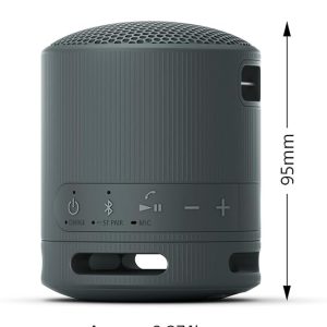 Sony SRS-XB100 - Wireless Bluetooth