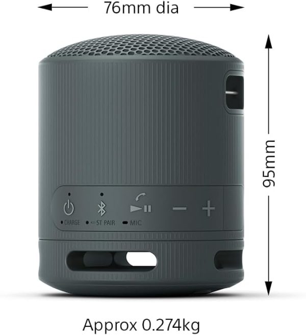 Sony SRS-XB100 - Wireless Bluetooth